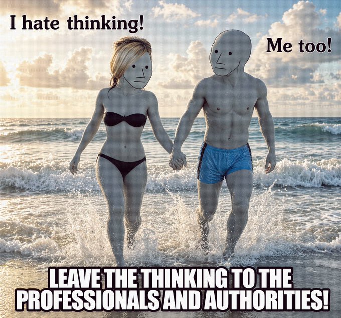 A meme showing two gray humanoid figures in swimwear holding hands on a beach, with text reading "I hate thinking!", "Me too!", and "LEAVE THE THINKING TO THE PROFESSIONALS AND AUTHORITIES!"