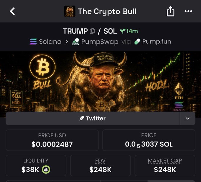 This image displays market data for a cryptocurrency called $TRUMP, showing its price at $0.0002487 USD and a market cap of $248K. The accompanying post mentions "apeding this $TRUMP" and having "250k rn", which relates to the financial data presented.