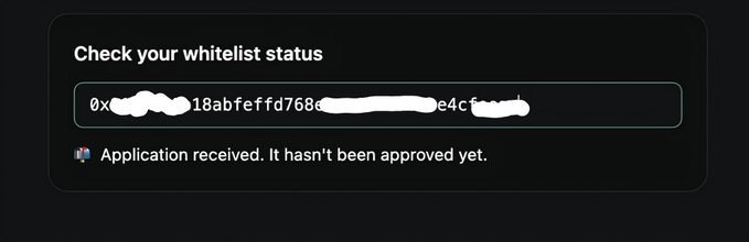 A screenshot of a wallet whitelist verification status that states 'Application received. It hasn't been approved yet.' for a hidden wallet address.