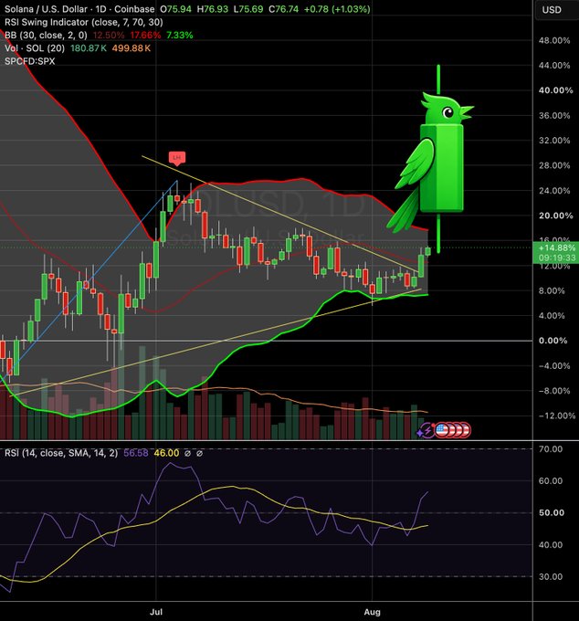 Cryptocurrency trading chart for Solana (SOL/USD) on Coinbase, featuring candlesticks, Bollinger Bands, RSI indicator, and a green cartoon owl mascot in the upper right.