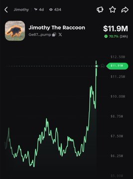 A price chart for "Jimothy The Raccoon" (0x87...pump) shows a sharp upward spike to $11.9M, reflecting the token's 70.7% surge over the past 24 hours and aligning with the post's claim of a 71% gain in the last 6 hours.