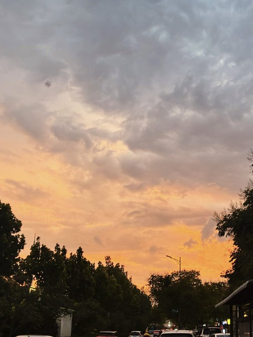 A scenic sunset sky with orange and gray clouds over silhouetted trees and streetlights.