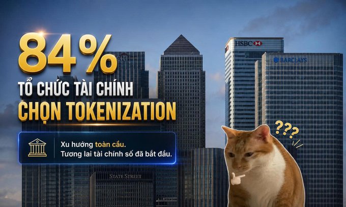 A Vietnamese promotional graphic stating '84% TỔ CHỨC TÀI CHÍNH CHỌN TOKENIZATION' over a cityscape with major banks, featuring a confused orange cat.