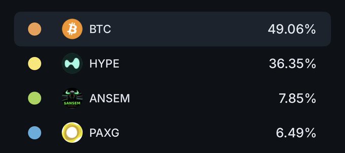 A cryptocurrency portfolio allocation chart showing BTC at 49.06%, HYPE at 36.35%, ANSEM at 7.85%, and PAXG at 6.49%, with colored dots next to each asset.