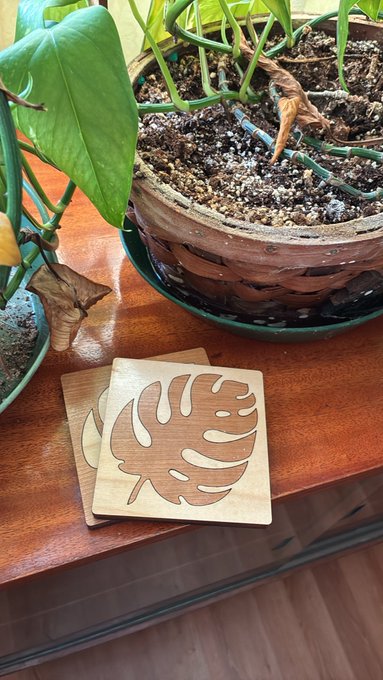 A potted monstera plant on a wooden surface next to wooden coasters engraved with a monstera leaf design.