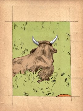A hand-drawn sketch on tan paper showing the back of a brown bull with white horns resting in green grass.