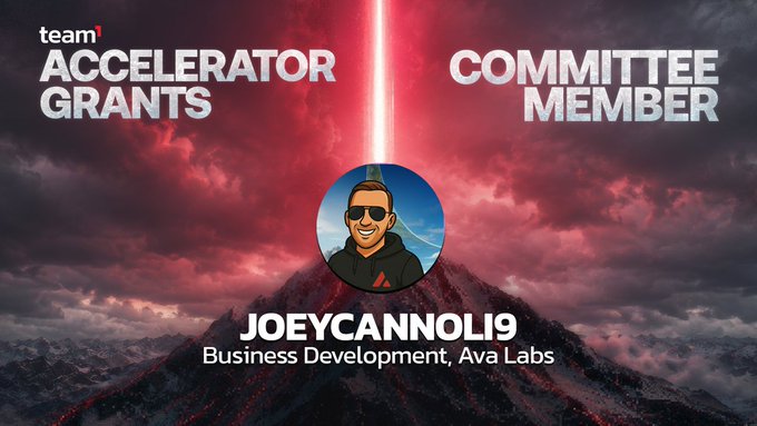 A promotional graphic for 'Accelerator Grants' featuring 'joeycannoli9' as a Committee Member for Business Development at Ava Labs, set against a red mountain/volcano background.