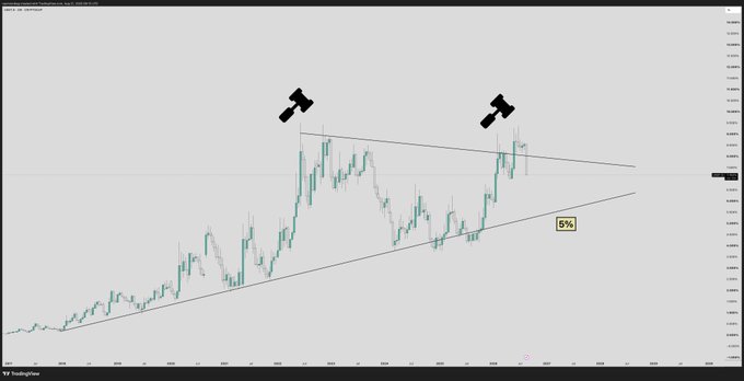 A candlestick chart of USDT.D displays a descending wedge pattern with two hammer formations marked by hammer emojis at the upper resistance line, while the lower trendline shows a 6% upward slope percentage—aligning with the post's "Hammer time" commentary suggesting a bullish reversal signal for USDT dominance.