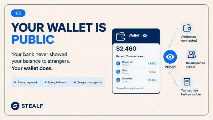 An informational slide titled 'YOUR WALLET IS PUBLIC' from 'STEALF' that warns users their crypto wallet exposes their addresses, balances, and counterparties, unlike traditional banks.