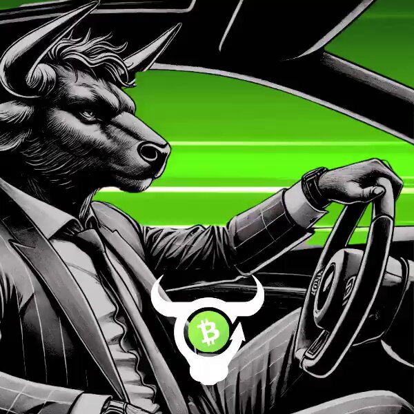 The image features a cartoon depiction of a man dressed in a suit and tie, sitting behind the wheel of a car with horns. The man appears to be driving the vehicle while wearing a bull costume. The caption below the image reads "We read bull, and we like. We simple like that". This suggests that the image is related to a post or social media account where the man dressed as a bull has been sharing his thoughts on a particular topic.
