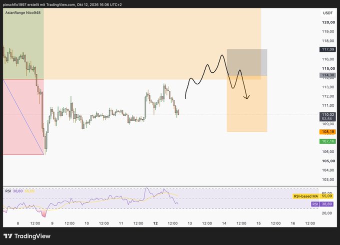 A TradingView stock chart for ticker 'pleschflo1997' showing price action around 108-117 USDT with an 'Asian Range Nico948' analysis and RSI indicator at the bottom.