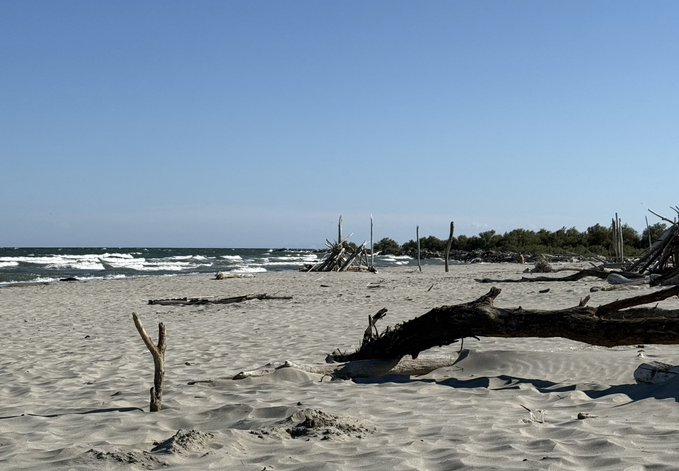A sandy beach scattered with driftwood and a lone small tree stump, under a clear blue sky with gentle waves rolling onto the shore, evoking the quiet, sunlit stillness of a "hyperliquid summer."