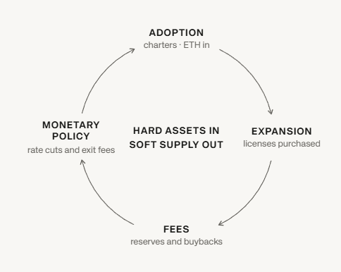 A circular flow diagram illustrating a financial ecosystem with four stages: ADOPTION (charters: ETH in), EXPANSION (licenses purchased), FEES (reserves and buybacks), and MONETARY POLICY (rate cuts and exit fees).