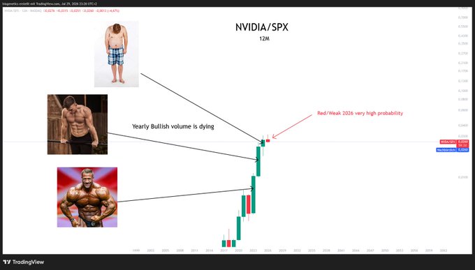 A TradingView chart of NVIDIA/SPX 12M ratio featuring a meme illustrating decreasing bullish volume, with the caption 'Yearly Bullish volume is dying' and 'Red/Weak 2026 very high probability'.