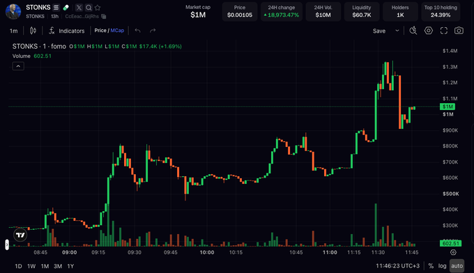 A financial chart shows the 1-minute price movement for STONKS token, indicating a price of $1M, a 24h change of +18,973.47%, and a market cap of $1M.
