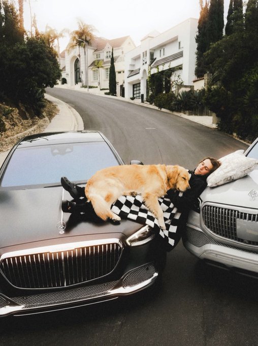 A man in a checkered blanket lies on the hood of a luxury car next to a sleeping golden retriever, with another car parked alongside on a quiet residential street.