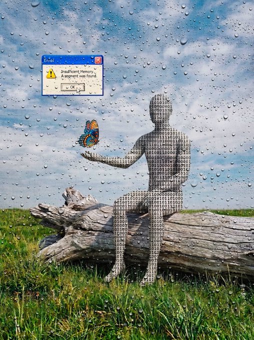 A silhouette of a person made of binary code standing in a grassy field with a log, viewed through a rain-covered window, with an error dialog box reading 'Insufficient Memory. A segment was found.' displayed.