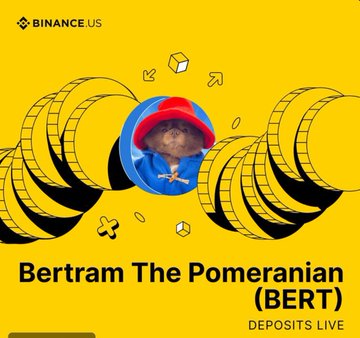 The image features a cartoon cat wearing a red hat, sitting atop a pile of yellow coins with the text "BinanceUS lists $BERT ( @bertcoincto )". The cat appears to be looking down at the coins, possibly contemplating their value or significance. This playful and humorous representation of the coin listing highlights the connection between the coin and its worth in the context of cryptocurrency trading.