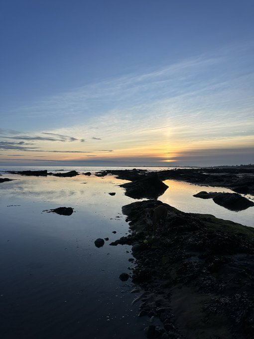 A serene coastal sunset scene with calm tidal pools reflecting the golden sky, scattered rocks, and seaweed along the shoreline under a blue gradient sky.