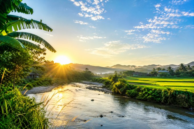 A scenic landscape shows a sunrise over a tranquil river flanked by banana leaves and tropical foliage, with misty mountains and rice fields in the background.