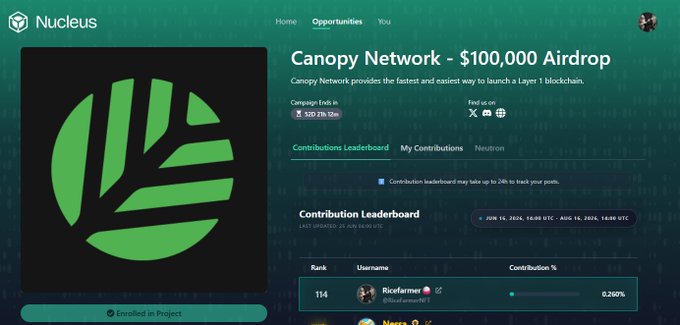 The image shows a screenshot of a website with a prominent green leaf logo. The title of the post displayed is "@CNPYNetwork campaign $100,000 is allocated to the Top 300 creators, making it one of the largest creator leaderboards running at the moment Want to join?". This text suggests that the website features a creator network where users can contribute ideas and collaborate on projects related to the "#NucleusCodes" theme. The user should click on the green leaf logo in the top left corner to navigate to this particular page of the website.