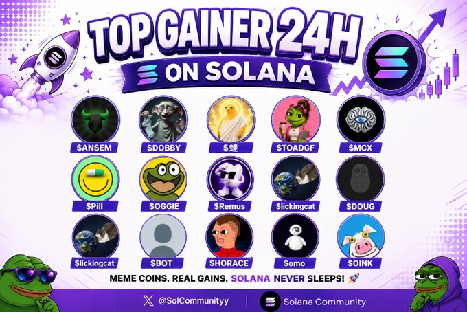 This image displays "Top Gainer 24H on Solana" meme coins, featuring token logos and tickers ($ANSEM, $DOBBY, $蛙, $TOADGF, $MCX, $Pill, $OGGIE, $Remus, $lickingcat, $DOUG, $BOT, $HORACE, $omo, $OINK) arranged in circular icons, with the tagline "Meme coins. Real gains. Solana never sleeps!" and branding from @SolCommunityy at the bottom.