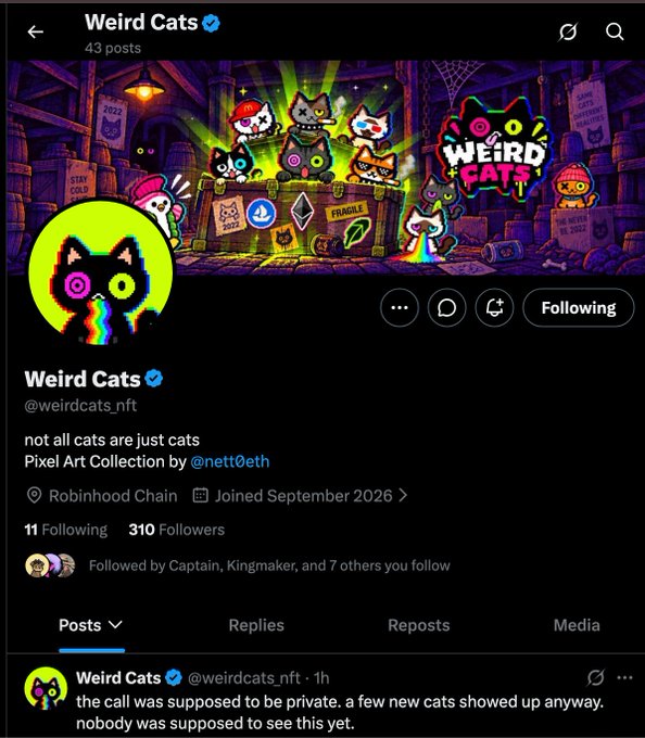 A social media profile page for 'Weird Cats' (@weirdcats_nft) on Robinhood Chain, a Pixel Art Collection by @netti0eth with the tagline 'not all cats are just cats', showing 43 posts and 310 followers.