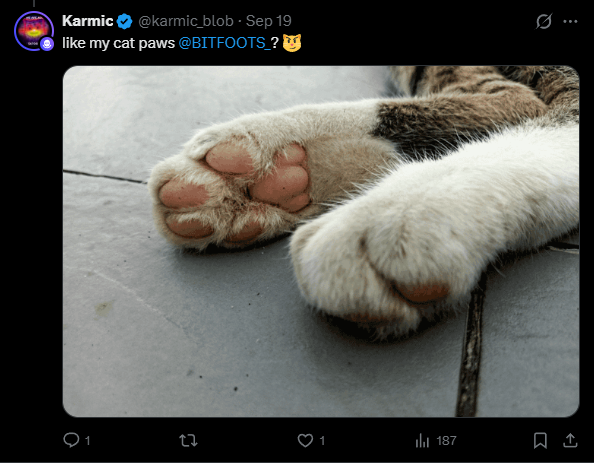 A tweet from Karmic (@karmic_blob) dated Sep 19 saying 'like my cat paws @BITFOOT'S' accompanied by a close-up photo of a cat's paw pads.