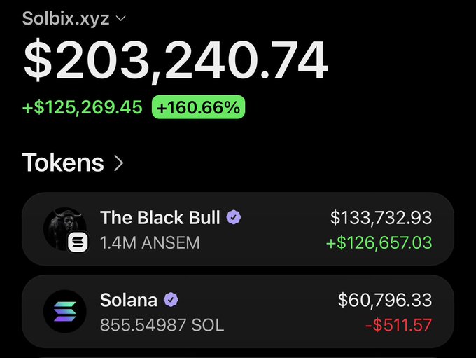 The image shows a Solbix.xyz portfolio tracker displaying a wallet balance of $203,240.74 with a +160.66% gain (+$125,269.45), holding "The Black Bull" with 1.4M ANSEM tokens valued at $133,732.93 (+$126,657.03) and 855.54987 SOL worth $60,796.33 (down $511.57). This visually represents the wallet that received the 9M ANSEM token airdrop, showing its remaining holdings after selling $117,800 worth.