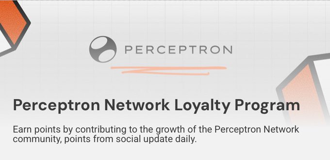 A promotional graphic for the 'PERCEPTRON' brand featuring the heading 'Perceptron Network Loyalty Program' with text explaining 'Earn points by contributing to the growth of the Perceptron Network community, points from social update daily.'