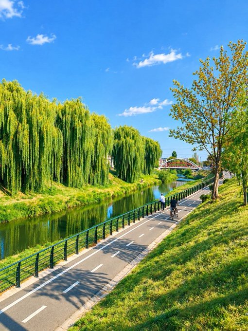 A scenic view of a paved cycling path running alongside a river lined with weeping willow trees, with a red arched bridge visible in the distance under a blue sky.