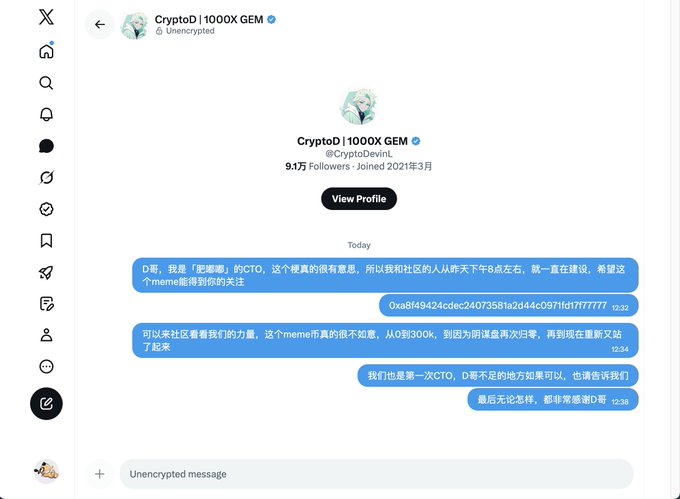 A Twitter/X direct message conversation with CryptoD | 1000X GEM (@CryptoDevinL), where messages in blue discuss launching a meme coin as a first-time CTO, mentioning raising funds from 300K to relaunch with CEX listing plans.