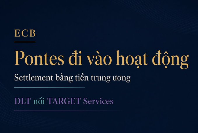 A dark blue informational slide with text in Vietnamese reading 'ECB Pontes đi vào hoạt động Settlement bằng tiền trung ương DLT nối TARGET Services'.