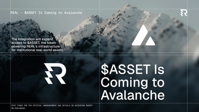 Promotional graphic featuring a snowy mountain backdrop with text announcing '$ASSET Is Coming to Avalanche' and mentioning REAL's infrastructure for institutional real-world assets.