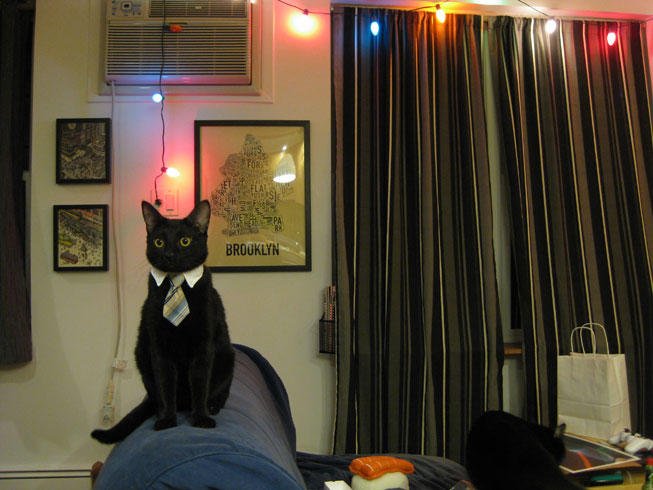 A black cat wearing a striped tie sits on a bed in a room decorated with string lights, framed pictures, a Brooklyn poster, and an air conditioner.