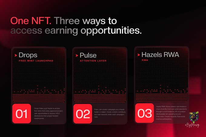 A promotional graphic titled 'One NFT. Three ways to access earning opportunities.' displaying three options: '01 Drops', '02 Pulse', and '03 Hazels RWA'.