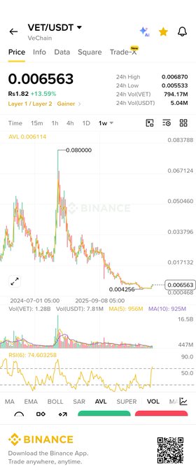 A Binance app screenshot showing the VET/USDT trading pair on VeChain, with a current price of 0.006563 USDT and a 1-week candlestick chart indicating a downtrend.