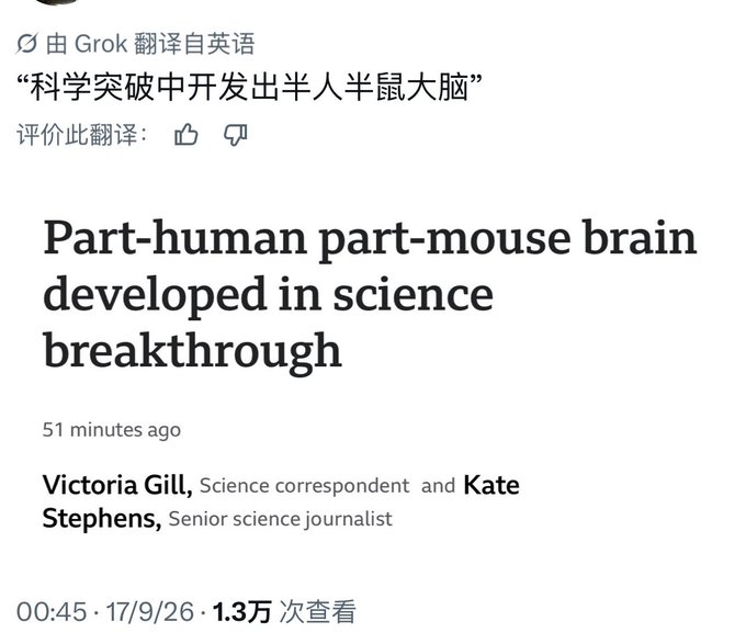 A news article headline reading 'Part-human part-mouse brain developed in science breakthrough' by Victoria Gill and Kate Stephens, translated by Grok, dated 17/9/26.