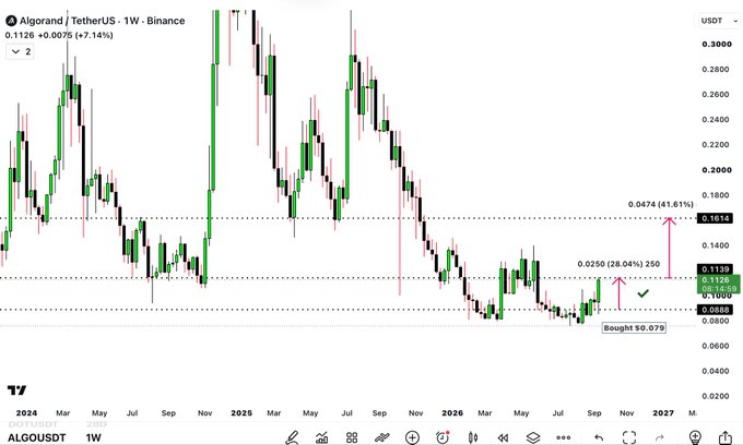 The image shows a weekly candlestick chart for ALGO/USDT on Binance, with a current price of 0.1126 (+7.14%), marking a bought level at $0.079 and highlighting targets at 0.0250 (28.04%) and 0.0744 (41.61%), corresponding to the poster's note about ALGO's first target hit and second target in progress.