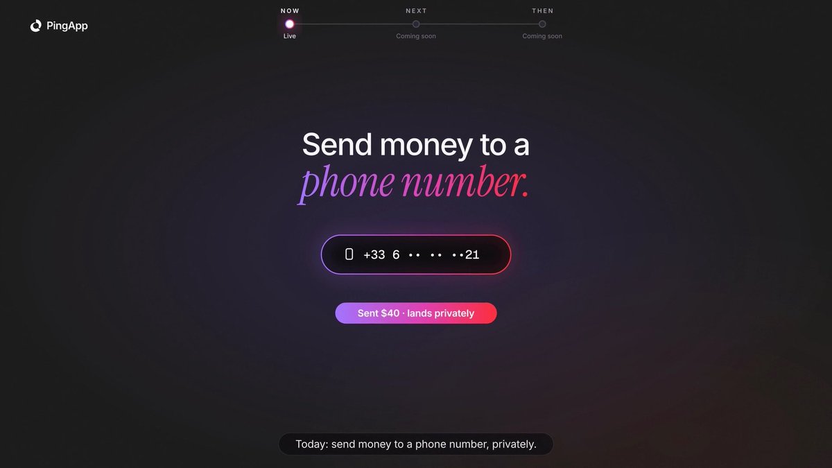A promotional interface for 'PingApp' displays the text 'Send money to a phone number' with a phone number field (+33 6•••••21) and a status note reading 'Sent $40 · lands privately'.