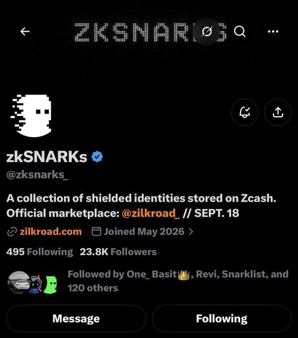 A Twitter/X profile screenshot of the verified account 'zkSNARKs' (@zksnarks_) with the bio describing it as 'A collection of shielded identities stored on Zcash' and mentioning a marketplace on Zilkroad.