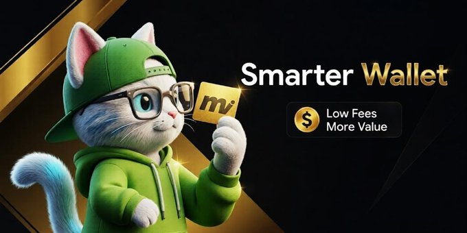 The image shows a cartoon cat wearing a green hoodie, glasses, and a hat with gold trim holding up a yellow sign that says "smarter wallet" along with some text about the platform's features. The focus of the image is on the cat and its accessories rather than the actual content of the post.