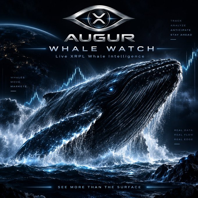 A dramatic promotional graphic for "AUGUR WHALE WATCH" featuring a large breaching whale against a cosmic backdrop with trading chart elements, tagged "Live XRPL Whale Intelligence" and the tagline "SEE MORE THAN THE SURFACE." The image advertises augurxrpl.com/whales/, a service for tracking whale activity on the XRP Ledger, with phrases like "TRACK ANALYZE ANTICIPATE STAY AHEAD," "WHALES MOVE MARKETS," and "REAL DATA REAL FLOW REAL EDGE" reinforcing its crypto market intelligence theme.