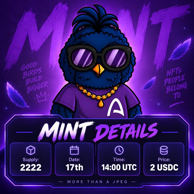 An NFT mint announcement for 'MINT' featuring a cartoon bird with sunglasses and a gold chain, listing supply at 2222, date as 17th, time at 14:00 UTC, and price at 2 USDC.
