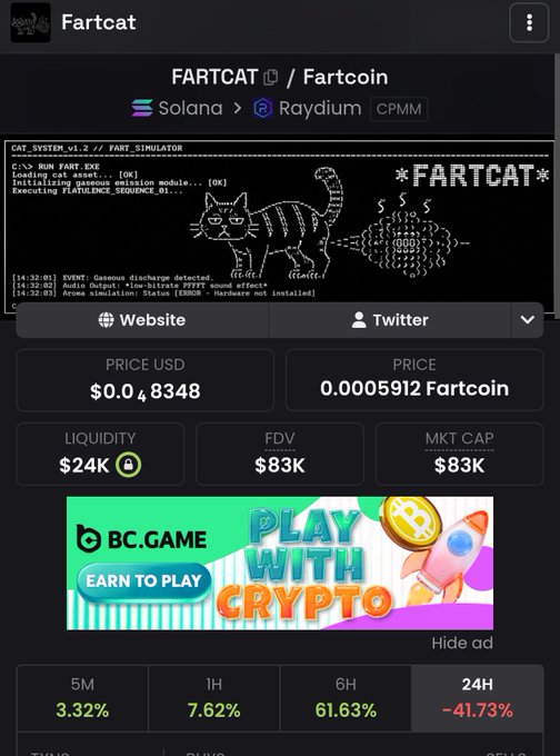 A cryptocurrency coin page for 'FARTCAT / Fartcoin' on Solana/Raydium, showing a price of $0.048348 USD, market cap of $83K, and a 24H change of -41.73%.