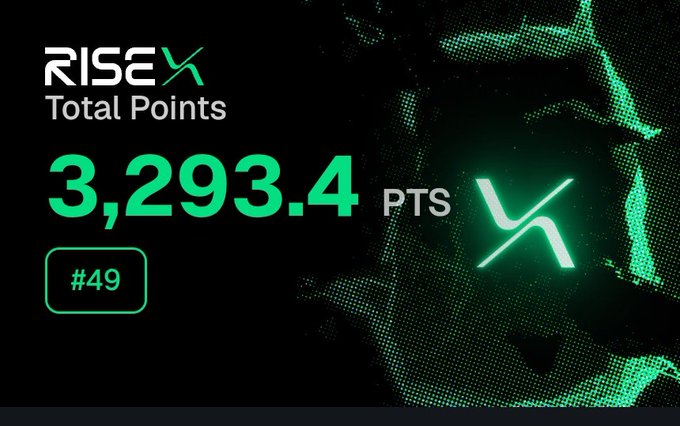 A RiseX Points leaderboard display showing 3,293.4 PTS with a #49 ranking, matching the post's achievement of being ranked #49 on the RiseX points leaderboard. The green neon-themed graphic features the RiseX branding and stylized logo over a dark halftone-patterned background.