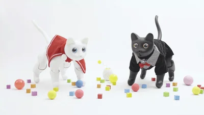 Two cat figurines, one white in a red jacket and one black in a striped shirt, posed among scattered colorful small cube and ball pieces on a white surface.