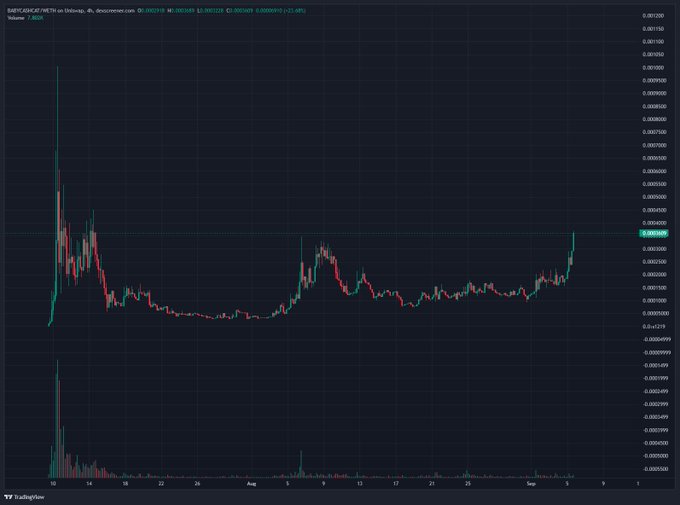 A TradingView chart showing the BABYNEKOCAT/USDT price action on DEX Screener with a 4-hour timeframe, displaying candlestick patterns and volume indicators.