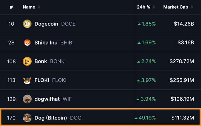 A leaderboard ranking dog-themed memecoins by market cap, showing Dogecoin ($14.26B) at #10, Shiba Inu ($3.16B) at #28, Bonk ($278.72M) at #108, FLOKI ($255.91M) at #113, and dogwifhat ($196.19M) at #129, with **$DOG (Bitcoin Rune) highlighted at #170 with $111.32M market cap and a 49.19% 24-hour gain**, visually illustrating its climb toward overtaking top Solana dog coins like FLOKI and Bonk.