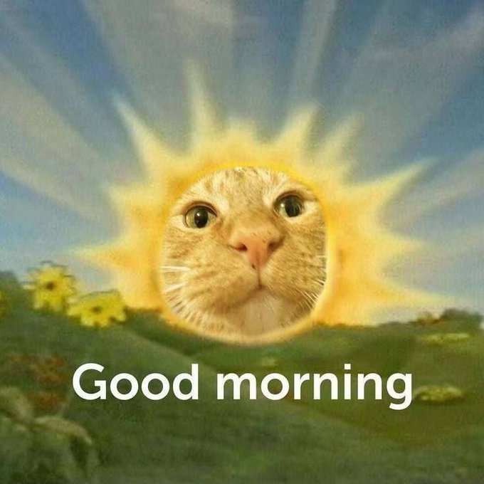 A cheerful 'Good morning' graphic featuring an orange tabby cat's face superimposed on a smiling sun, set against a sky with rays of light and a green hillside.
